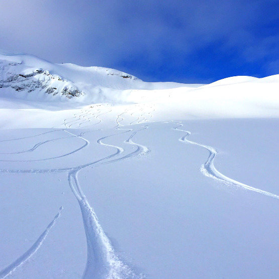 Several tracks through powder snow and blue sky in the background.