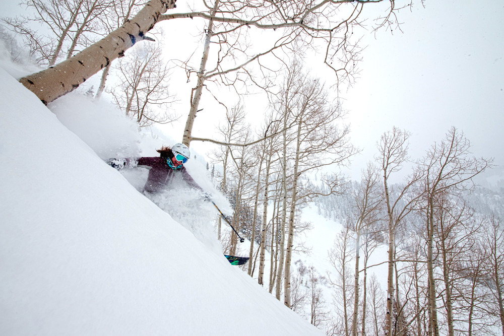 A skier gets a face shot of powder while skiing in the trees at Snowbird, Utah